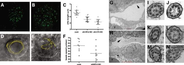 https://cdn.ncbi.nlm.nih.gov/pmc/blobs/dbf9/2638777/247d61c08058/ddn35605.jpg