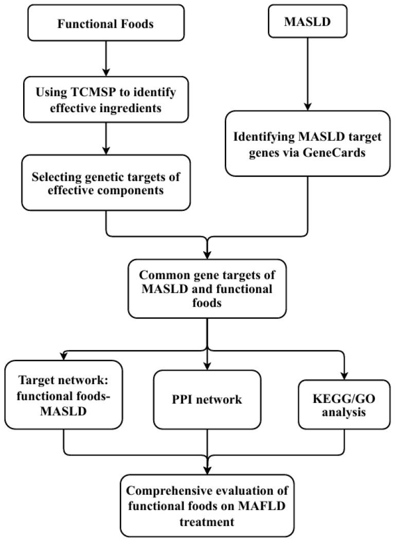 https://cdn.ncbi.nlm.nih.gov/pmc/blobs/dbfa/11434757/33bcfd123b39/nutrients-16-03061-g001.jpg
