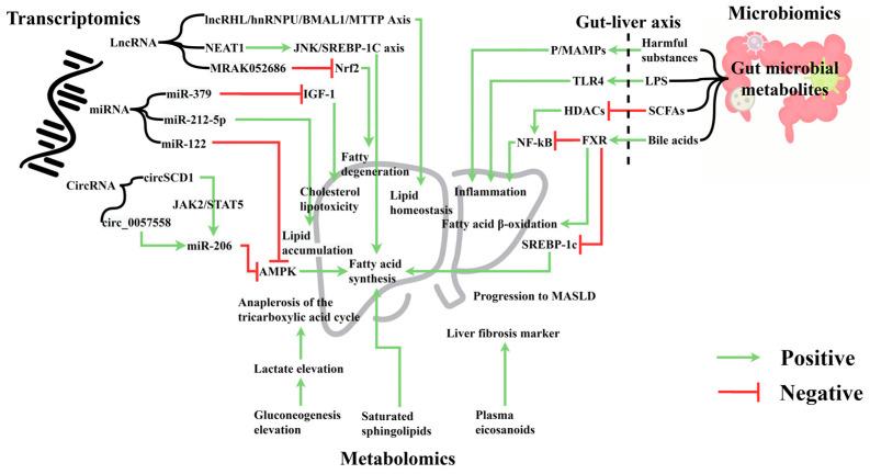 https://cdn.ncbi.nlm.nih.gov/pmc/blobs/dbfa/11434757/a3d7e8efe3a3/nutrients-16-03061-g003.jpg