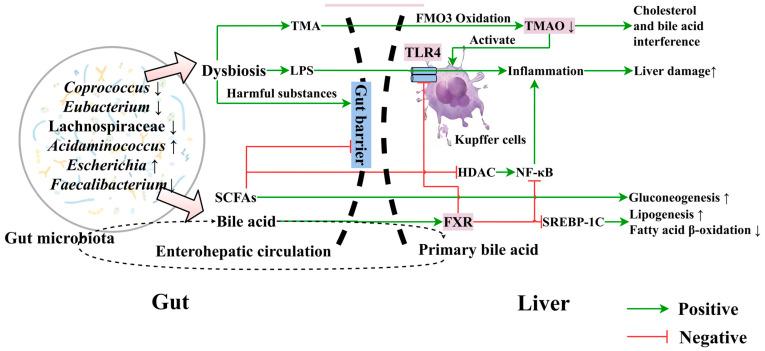 https://cdn.ncbi.nlm.nih.gov/pmc/blobs/dbfa/11434757/f14cf8670d41/nutrients-16-03061-g002.jpg