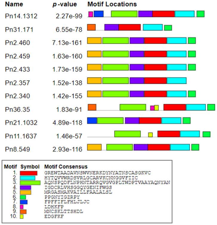 https://cdn.ncbi.nlm.nih.gov/pmc/blobs/dbfa/8303604/8e1715bfde5e/genes-12-01007-g002.jpg