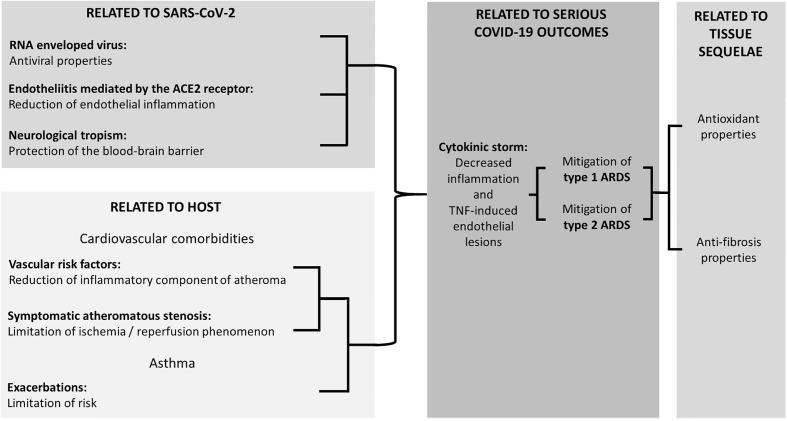 https://cdn.ncbi.nlm.nih.gov/pmc/blobs/dbfb/7500361/3337b270d6bc/fphar-11-01344-g001.jpg