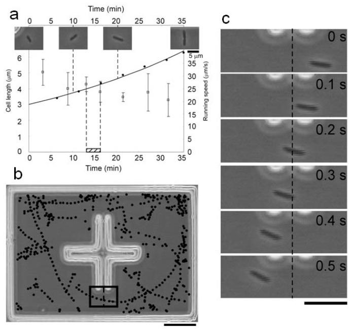 https://cdn.ncbi.nlm.nih.gov/pmc/blobs/dbfe/3435972/1c1025230f1b/sensors-12-07169f16.jpg