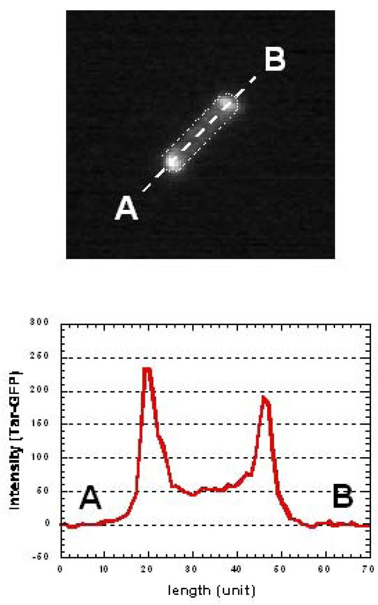 https://cdn.ncbi.nlm.nih.gov/pmc/blobs/dbfe/3435972/807018bd777b/sensors-12-07169f14.jpg