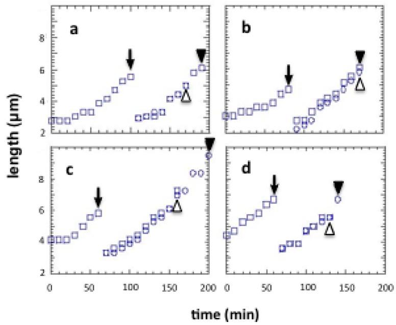 https://cdn.ncbi.nlm.nih.gov/pmc/blobs/dbfe/3435972/a6bc902ebb4e/sensors-12-07169f10.jpg