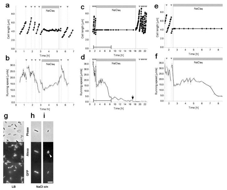 https://cdn.ncbi.nlm.nih.gov/pmc/blobs/dbfe/3435972/a8398458f8b1/sensors-12-07169f18.jpg