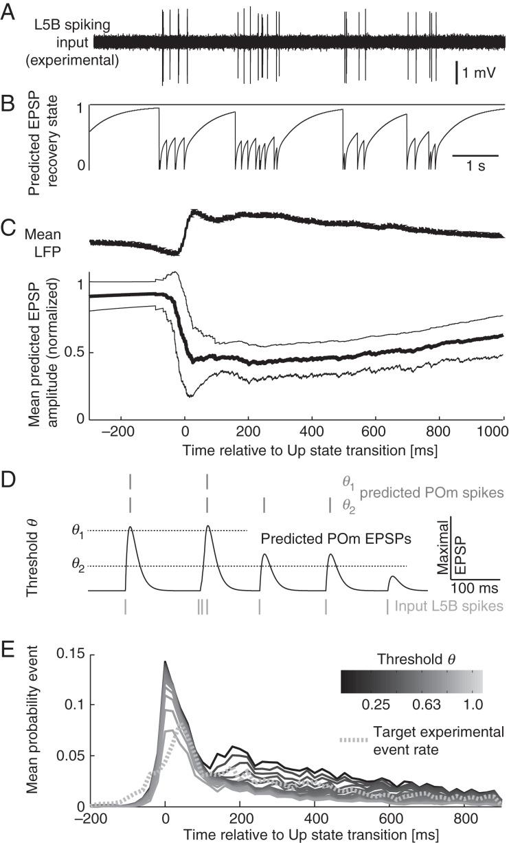 https://cdn.ncbi.nlm.nih.gov/pmc/blobs/dc01/4961018/f9cb82ce5d5a/bhw12307.jpg
