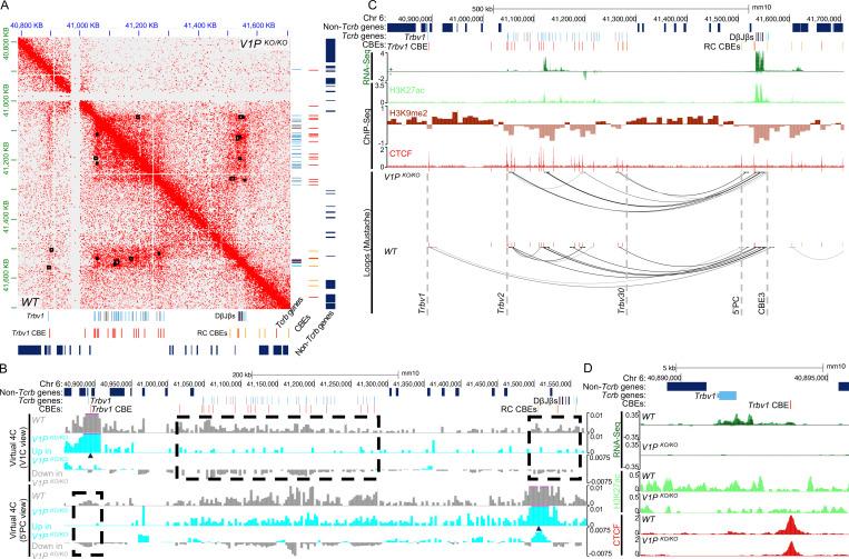 https://cdn.ncbi.nlm.nih.gov/pmc/blobs/dc04/10772921/ae47d7ef26e4/JEM_20230985_Fig4.jpg