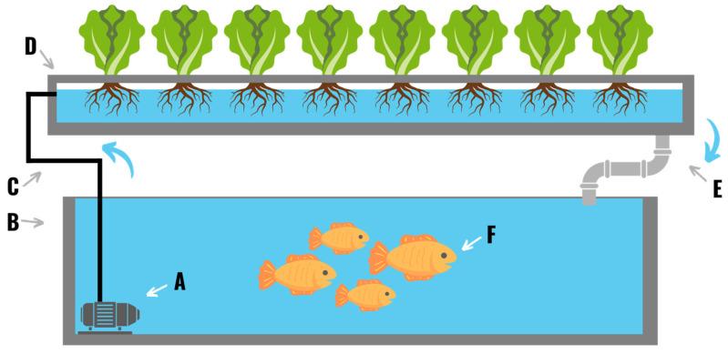 https://cdn.ncbi.nlm.nih.gov/pmc/blobs/dc04/9611108/5c0f246db0b7/plants-11-02783-g009.jpg