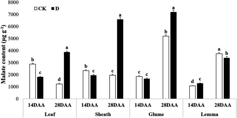 https://cdn.ncbi.nlm.nih.gov/pmc/blobs/dc06/9365945/5289614d26d7/fpls-13-917528-g006.jpg