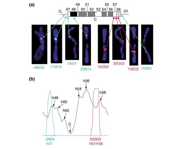 https://cdn.ncbi.nlm.nih.gov/pmc/blobs/dc08/151187/6bc216b6634a/gb-2002-3-12-research0085-8.jpg