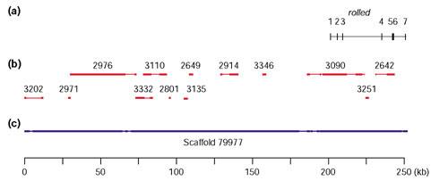 https://cdn.ncbi.nlm.nih.gov/pmc/blobs/dc08/151187/a34f6dc2073a/gb-2002-3-12-research0085-3.jpg
