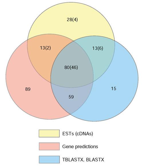 https://cdn.ncbi.nlm.nih.gov/pmc/blobs/dc08/151187/c2e4b790891d/gb-2002-3-12-research0085-4.jpg