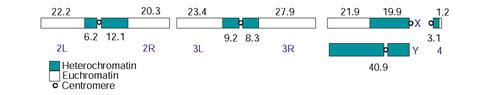 https://cdn.ncbi.nlm.nih.gov/pmc/blobs/dc08/151187/dcbf96af5ca5/gb-2002-3-12-research0085-1.jpg