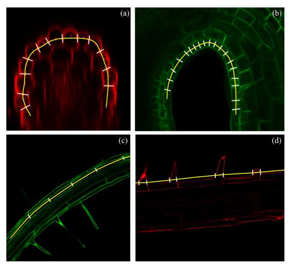 https://cdn.ncbi.nlm.nih.gov/pmc/blobs/dc08/3359173/f0386041b0ee/1746-4811-8-7-1.jpg