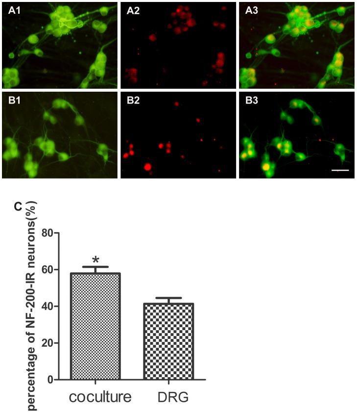 https://cdn.ncbi.nlm.nih.gov/pmc/blobs/dc09/3544851/9e04bdbcf9e0/pone.0052849.g006.jpg