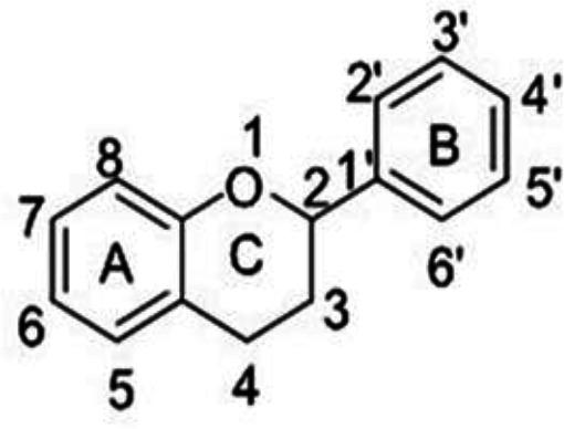 https://cdn.ncbi.nlm.nih.gov/pmc/blobs/dc0a/10474916/430d0509fb9a/AJP-13-354-g003.jpg