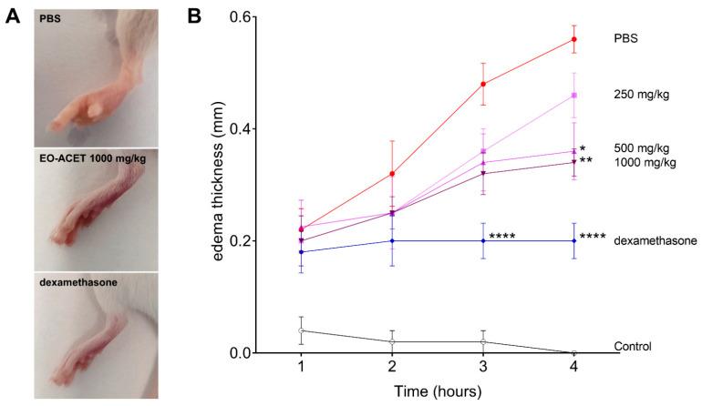 https://cdn.ncbi.nlm.nih.gov/pmc/blobs/dc0a/8148186/8726228f99b1/foods-10-01014-g005.jpg