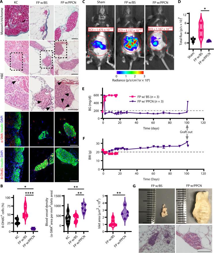 https://cdn.ncbi.nlm.nih.gov/pmc/blobs/dc0b/11160476/eec5868e432f/sciadv.adk3081-f5.jpg