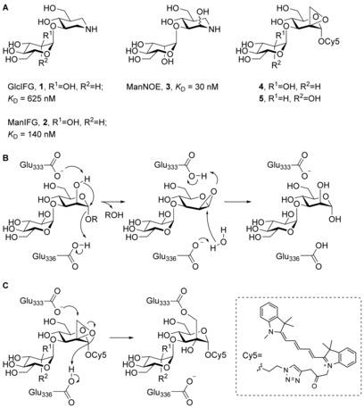 https://cdn.ncbi.nlm.nih.gov/pmc/blobs/dc0b/6055899/48cd5140c658/CHEM-24-9983-g001.jpg
