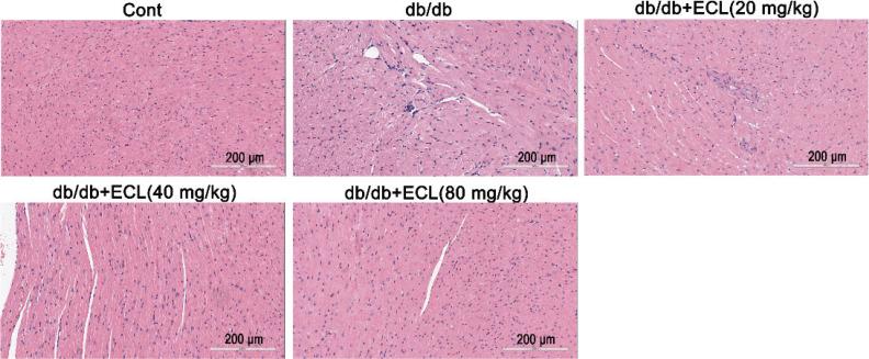 https://cdn.ncbi.nlm.nih.gov/pmc/blobs/dc0c/7534947/131178bd2d51/FNR-64-4267-g004.jpg