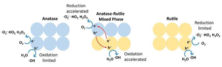 https://cdn.ncbi.nlm.nih.gov/pmc/blobs/dc0c/9965282/2a7b431895db/nanomaterials-13-00704-g006.jpg