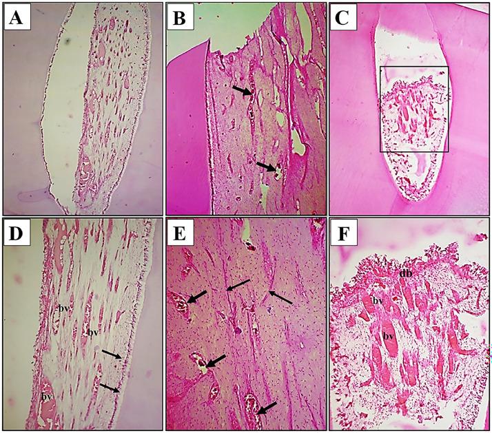 https://cdn.ncbi.nlm.nih.gov/pmc/blobs/dc0d/12145672/672bca29a6c7/gr1.jpg