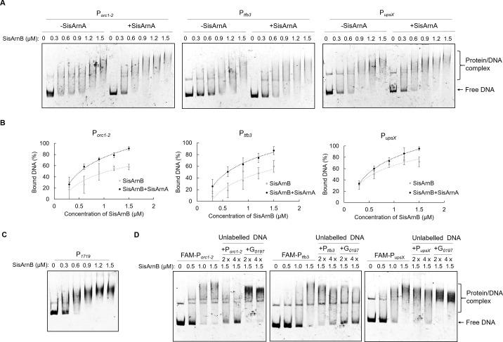 https://cdn.ncbi.nlm.nih.gov/pmc/blobs/dc12/10470591/42aa8452d5e2/mbio.00942-23.f007.jpg