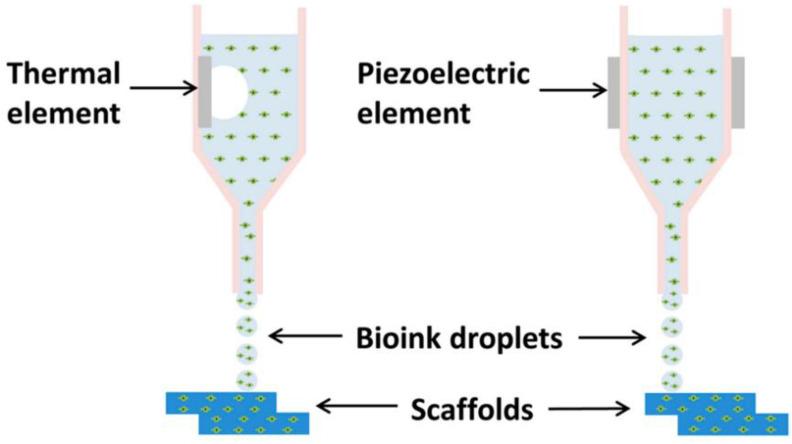 https://cdn.ncbi.nlm.nih.gov/pmc/blobs/dc12/9786002/dbcda5dfe2fd/pharmaceutics-14-02589-g003.jpg