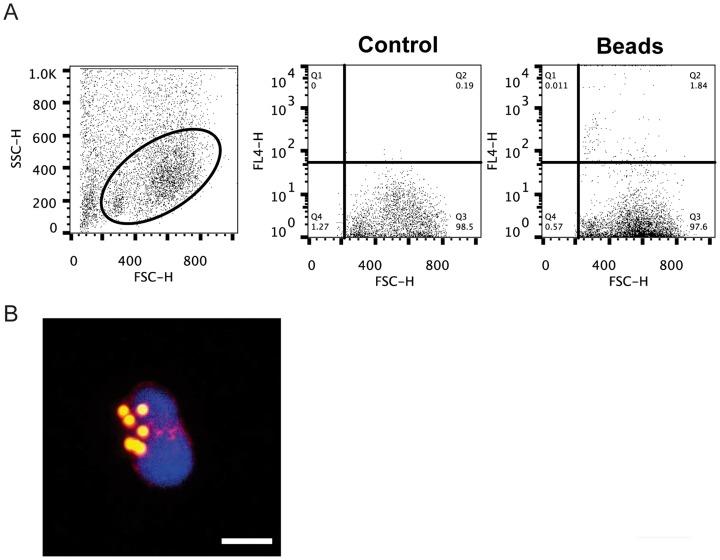 https://cdn.ncbi.nlm.nih.gov/pmc/blobs/dc13/4204996/845842900372/pone.0110920.g005.jpg