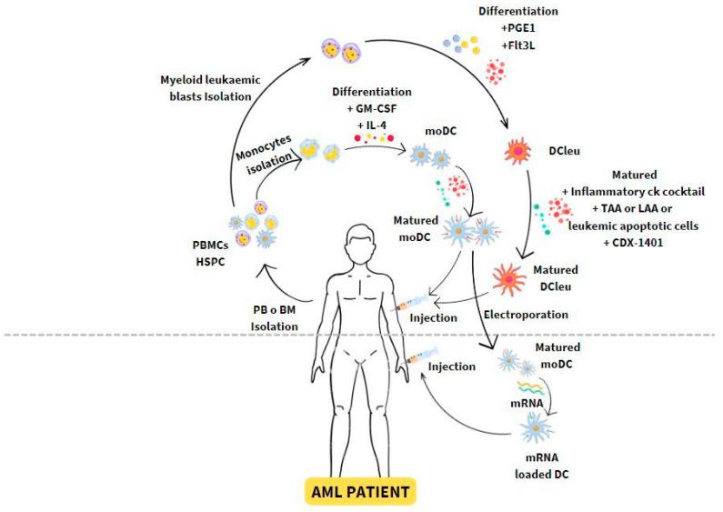 https://cdn.ncbi.nlm.nih.gov/pmc/blobs/dc15/10891551/52264f47e998/vaccines-12-00165-g002.jpg