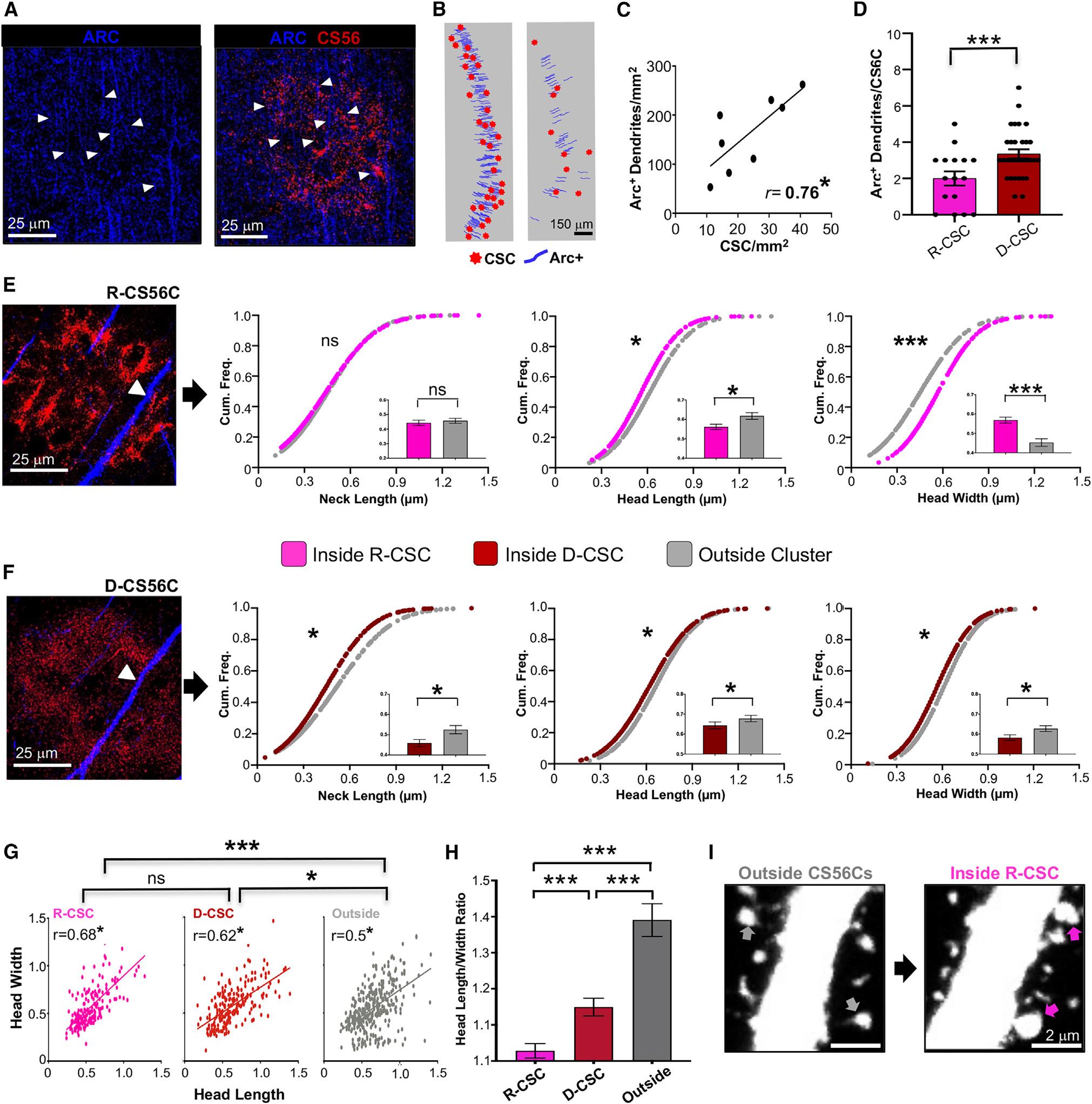 https://cdn.ncbi.nlm.nih.gov/pmc/blobs/dc19/11251421/78bec3f0d818/nihms-2000771-f0003.jpg