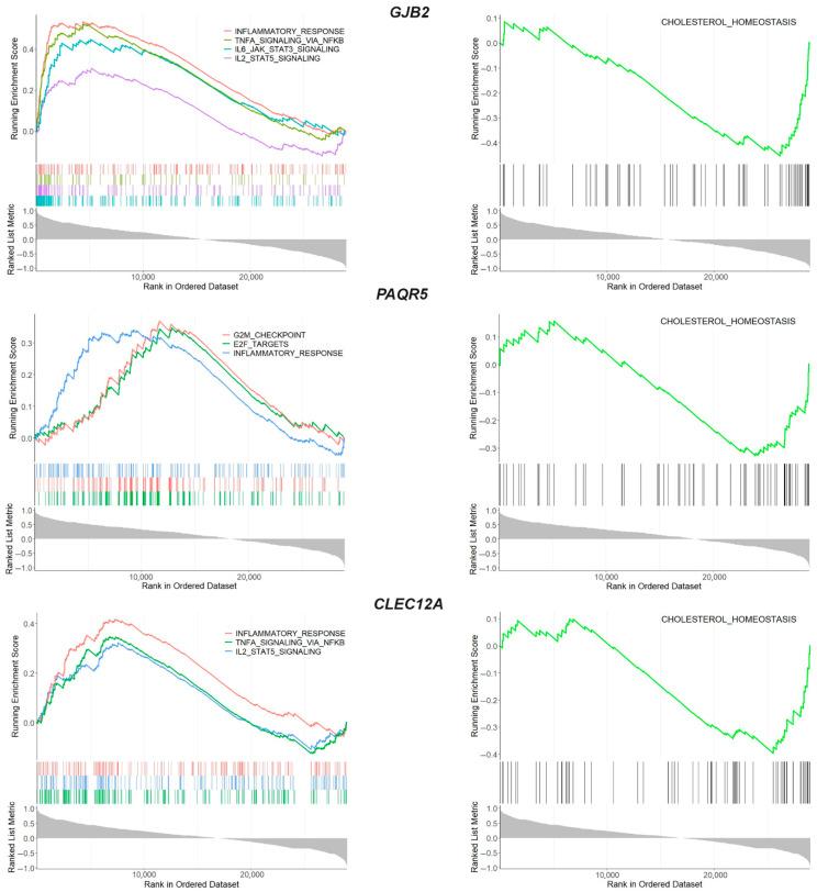 https://cdn.ncbi.nlm.nih.gov/pmc/blobs/dc19/12294481/5301240f2a65/ijms-26-06651-g005.jpg