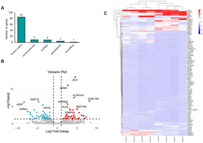 https://cdn.ncbi.nlm.nih.gov/pmc/blobs/dc19/12294481/5650d65ddbad/ijms-26-06651-g001.jpg
