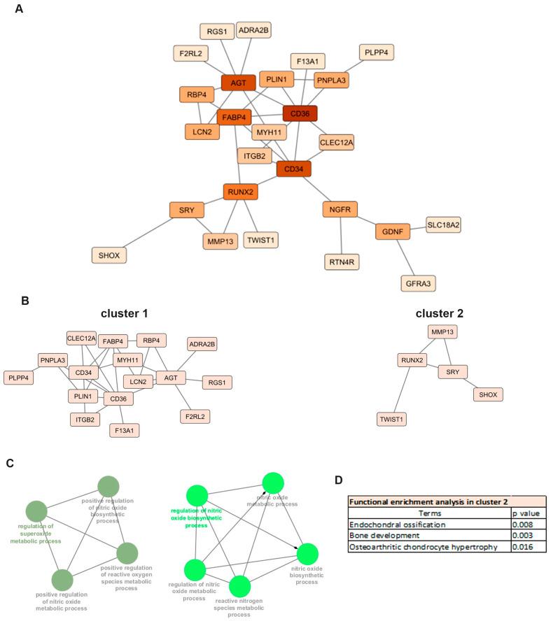 https://cdn.ncbi.nlm.nih.gov/pmc/blobs/dc19/12294481/f5f064c4af82/ijms-26-06651-g003.jpg