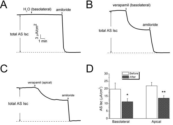 https://cdn.ncbi.nlm.nih.gov/pmc/blobs/dc19/2889873/065d25a36ef9/1465-9921-11-65-4.jpg