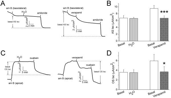 https://cdn.ncbi.nlm.nih.gov/pmc/blobs/dc19/2889873/1d7414f141f1/1465-9921-11-65-5.jpg
