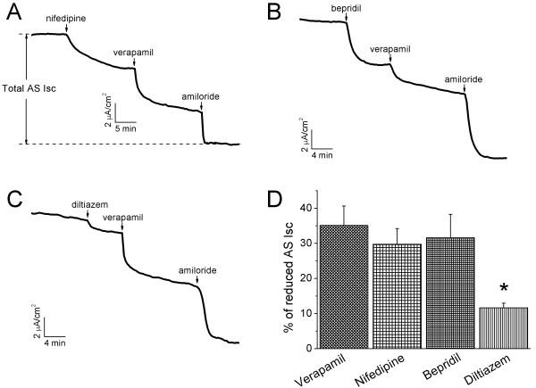 https://cdn.ncbi.nlm.nih.gov/pmc/blobs/dc19/2889873/1dd92615b49d/1465-9921-11-65-3.jpg