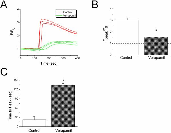 https://cdn.ncbi.nlm.nih.gov/pmc/blobs/dc19/2889873/55a907e2019c/1465-9921-11-65-10.jpg