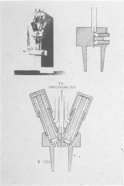 https://cdn.ncbi.nlm.nih.gov/pmc/blobs/dc1b/540486/1b21d7f94e0f/plntphys00387-0068-a.jpg