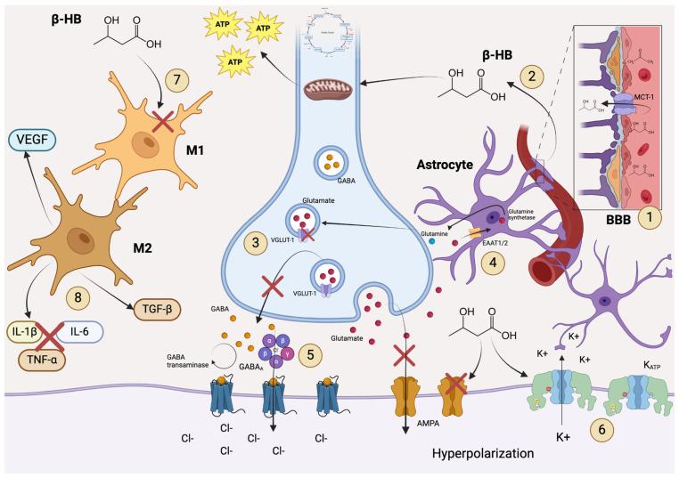 https://cdn.ncbi.nlm.nih.gov/pmc/blobs/dc1c/11767209/98ee70692269/life-15-00071-g002.jpg