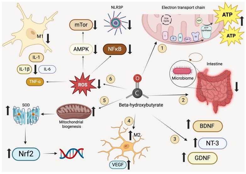 https://cdn.ncbi.nlm.nih.gov/pmc/blobs/dc1c/11767209/b588eda948cc/life-15-00071-g001.jpg