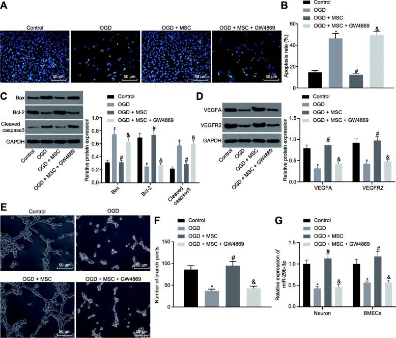 https://cdn.ncbi.nlm.nih.gov/pmc/blobs/dc1d/6998092/02af649a02c9/12974_2020_1725_Fig2_HTML.jpg