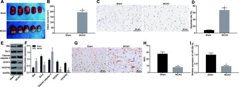 https://cdn.ncbi.nlm.nih.gov/pmc/blobs/dc1d/6998092/3bb1dbbdcf80/12974_2020_1725_Fig1_HTML.jpg