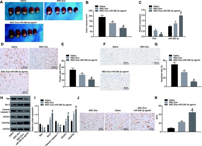 https://cdn.ncbi.nlm.nih.gov/pmc/blobs/dc1d/6998092/42ac2b2bd90c/12974_2020_1725_Fig7_HTML.jpg