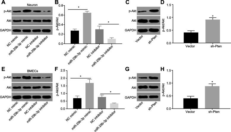 https://cdn.ncbi.nlm.nih.gov/pmc/blobs/dc1d/6998092/75284143be99/12974_2020_1725_Fig6_HTML.jpg