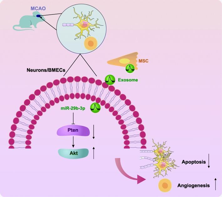 https://cdn.ncbi.nlm.nih.gov/pmc/blobs/dc1d/6998092/89af87528a3d/12974_2020_1725_Fig8_HTML.jpg