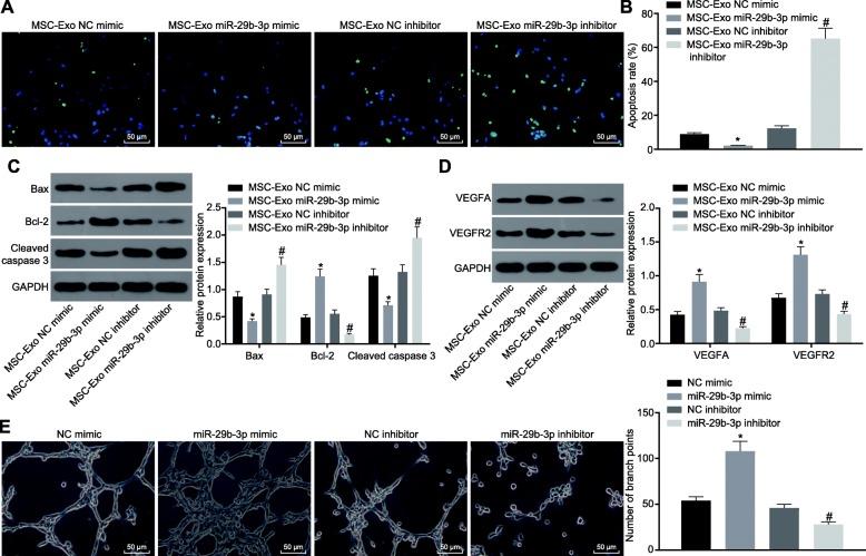 https://cdn.ncbi.nlm.nih.gov/pmc/blobs/dc1d/6998092/b4b8a671409b/12974_2020_1725_Fig4_HTML.jpg