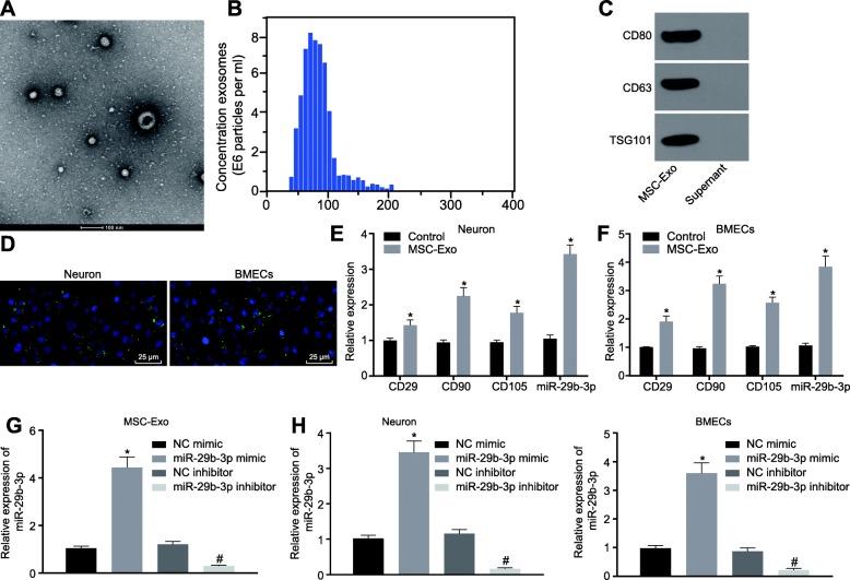 https://cdn.ncbi.nlm.nih.gov/pmc/blobs/dc1d/6998092/d9fd76ae20e9/12974_2020_1725_Fig3_HTML.jpg