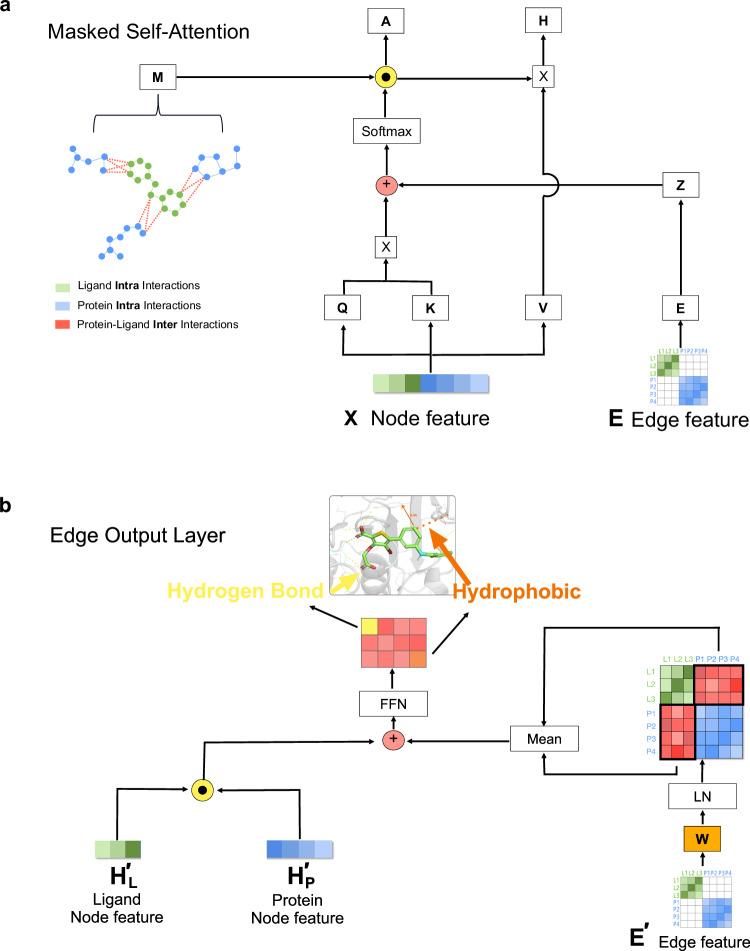https://cdn.ncbi.nlm.nih.gov/pmc/blobs/dc1f/11589619/79709c690a32/41467_2024_54440_Fig5_HTML.jpg